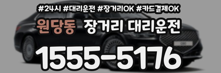 원당동 장거리 대리운전