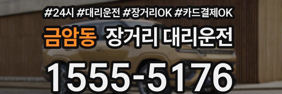 금암동 장거리 대리운전