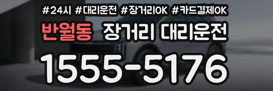 반월동 장거리 대리운전