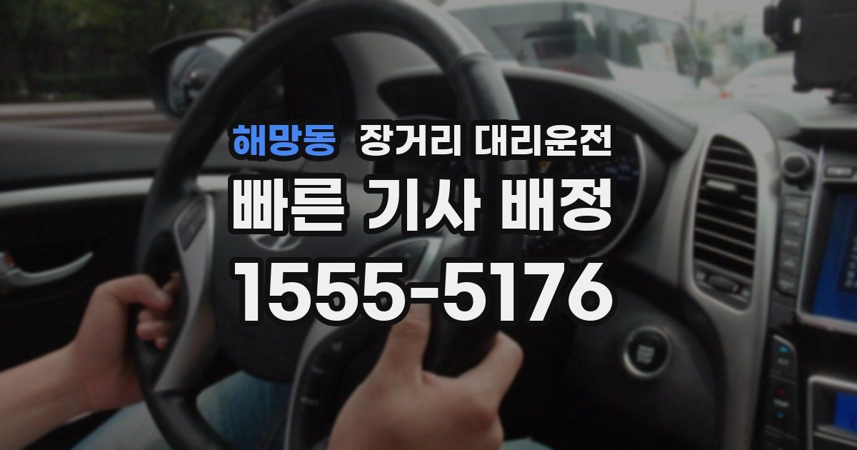 해망동 장거리 대리운전