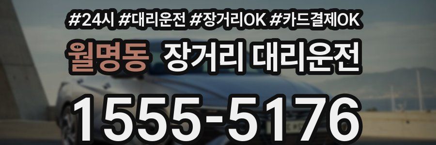 월명동 장거리 대리운전