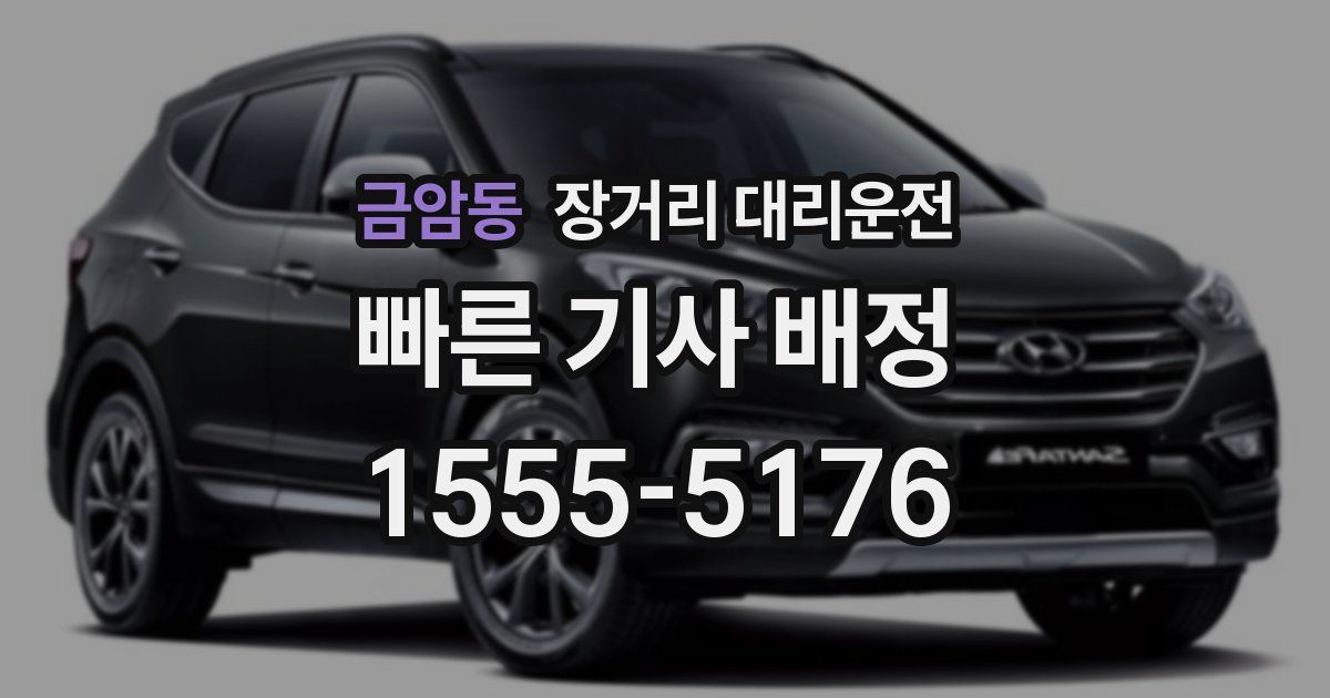 금암동 장거리 대리운전