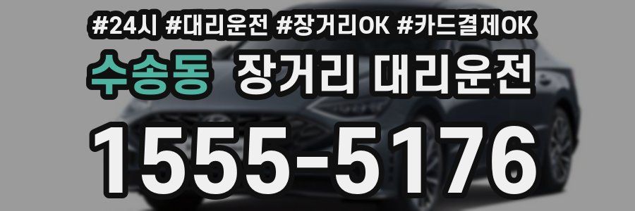 수송동 장거리 대리운전
