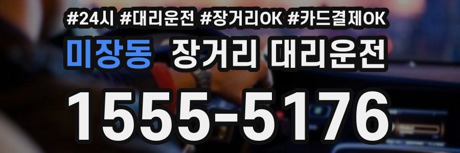 미장동 장거리 대리운전