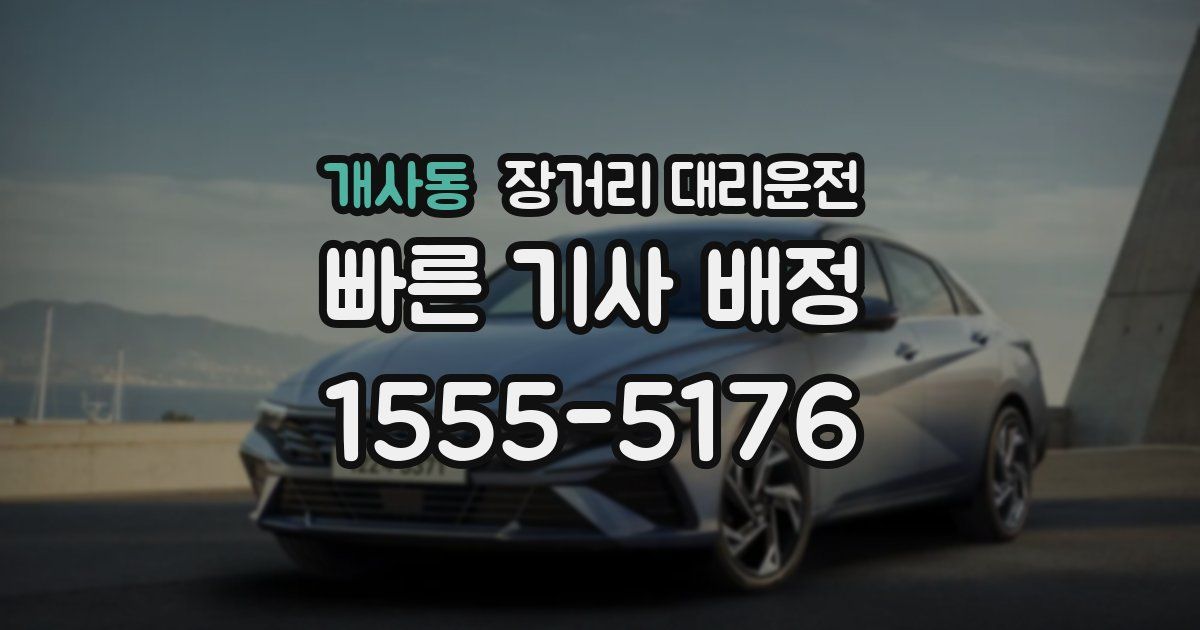 개사동 장거리 대리운전