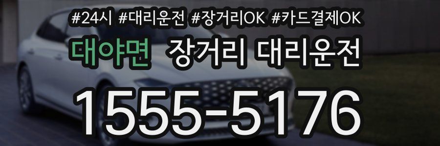 대야면 장거리 대리운전