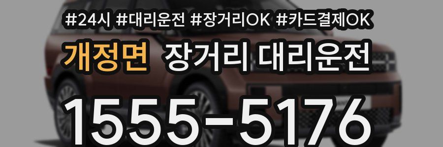 개정면 장거리 대리운전