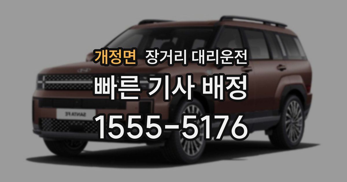 개정면 장거리 대리운전