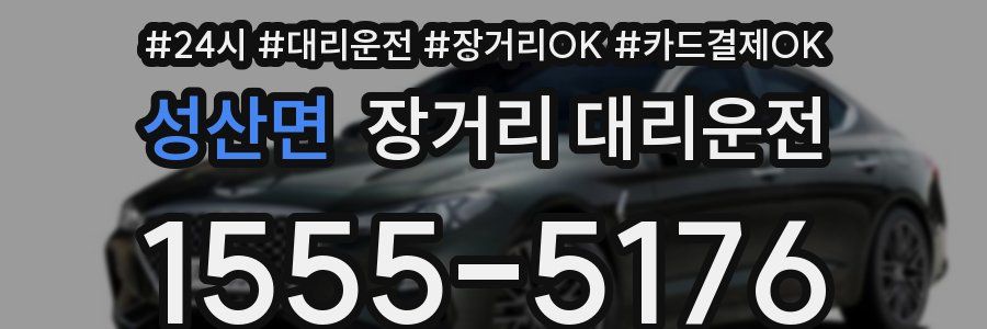성산면 장거리 대리운전