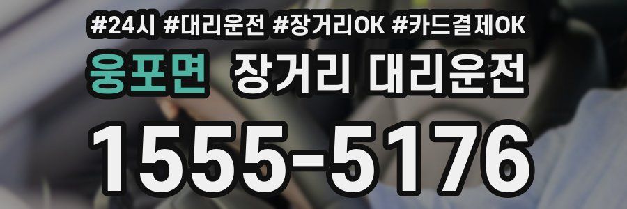 웅포면 장거리 대리운전