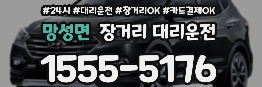 망성면 장거리 대리운전