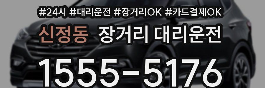 신정동 장거리 대리운전
