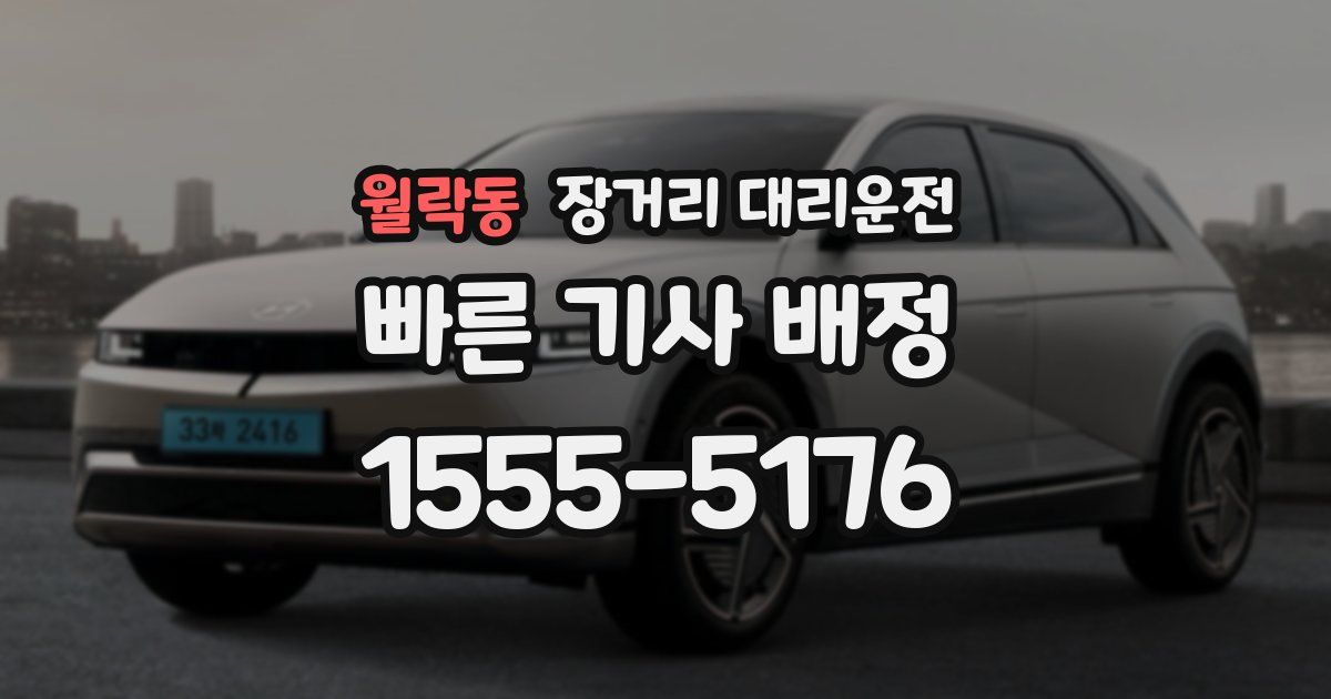 월락동 장거리 대리운전