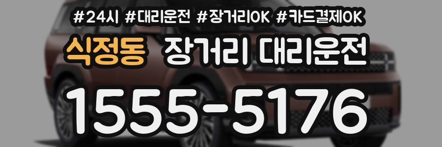 식정동 장거리 대리운전
