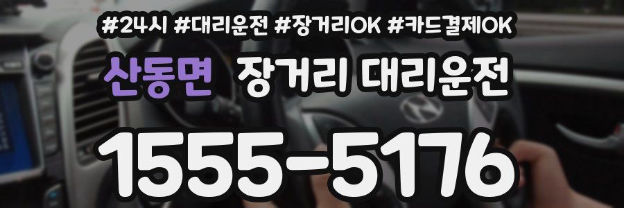 산동면 장거리 대리운전
