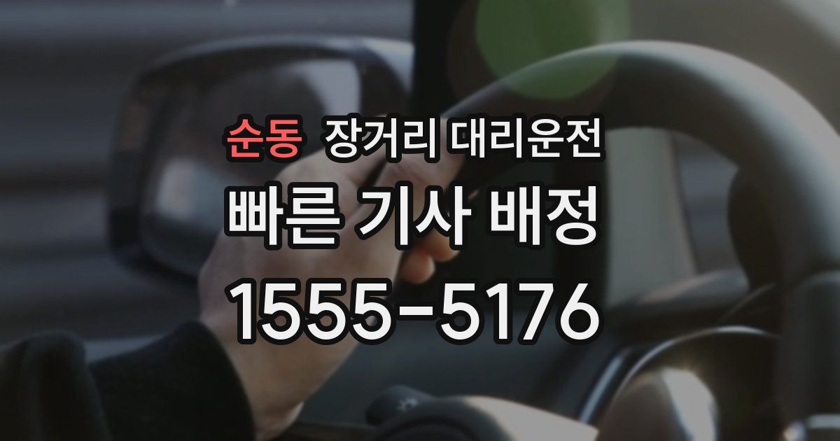 순동 장거리 대리운전