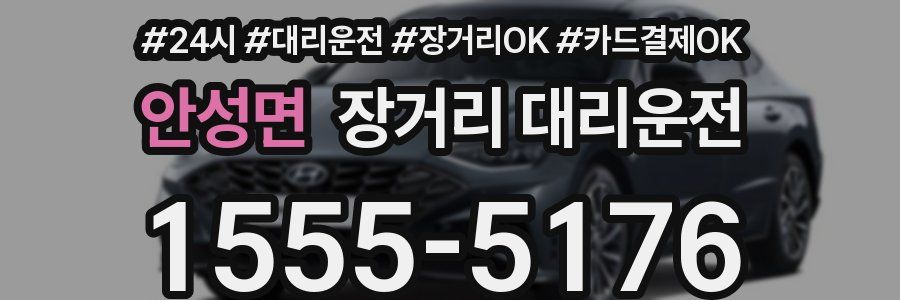 안성면 장거리 대리운전