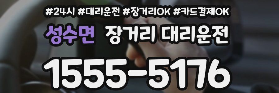 성수면 장거리 대리운전
