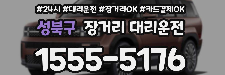 성북구 장거리 대리운전