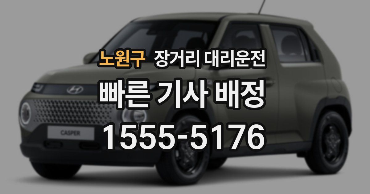 노원구 장거리 대리운전