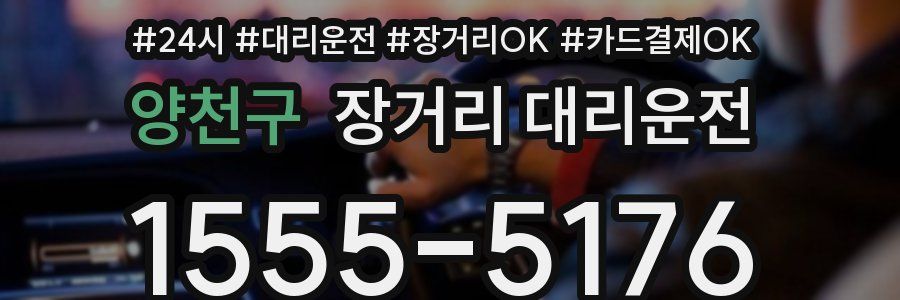 양천구 장거리 대리운전