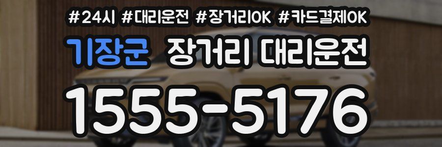 기장군 장거리 대리운전