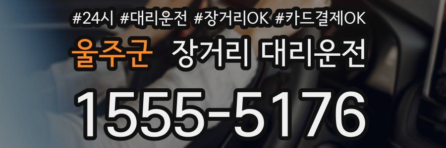 울주군 장거리 대리운전