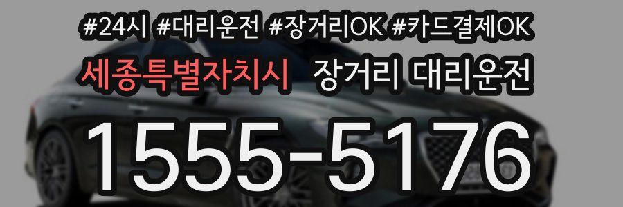 세종특별자치시 장거리 대리운전