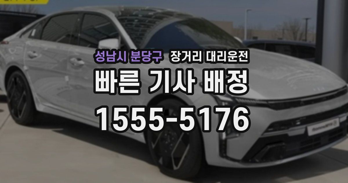 성남시 분당구 장거리 대리운전