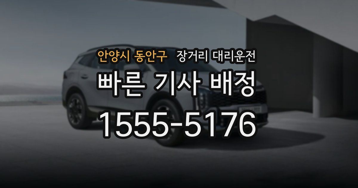 안양시 동안구 장거리 대리운전