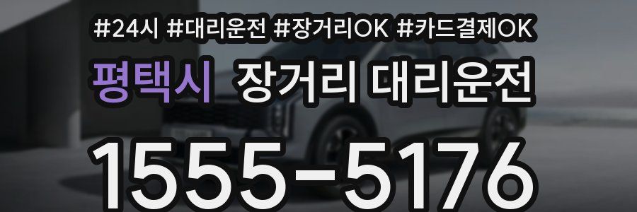 평택시 장거리 대리운전