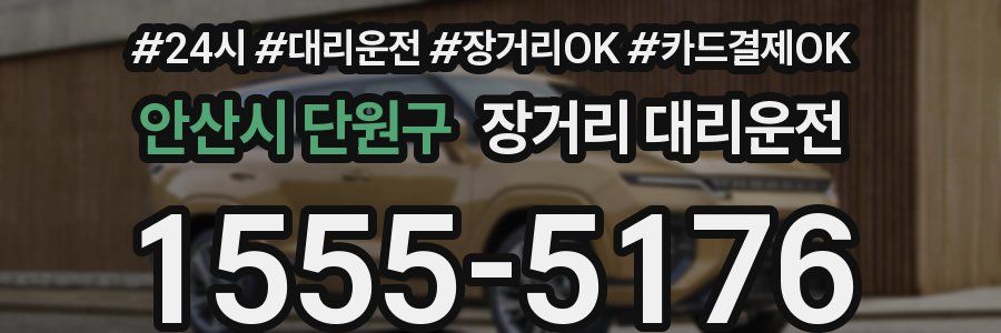 안산시 단원구 장거리 대리운전