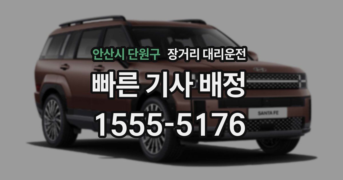 안산시 단원구 장거리 대리운전