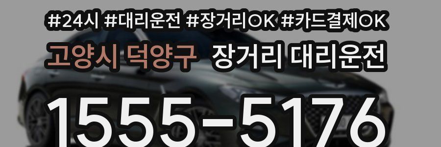 고양시 덕양구 장거리 대리운전