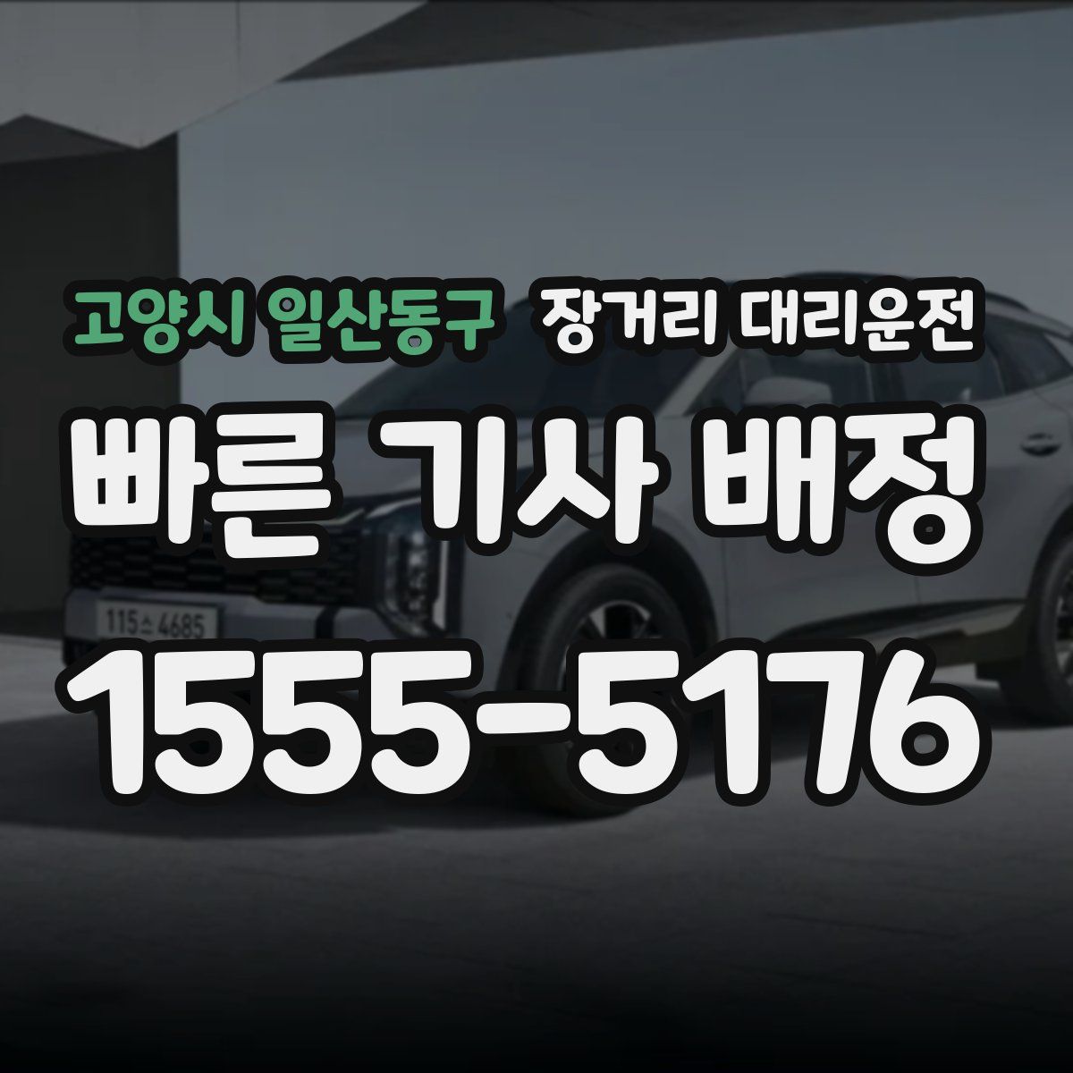 고양시 일산동구 장거리 대리운전
