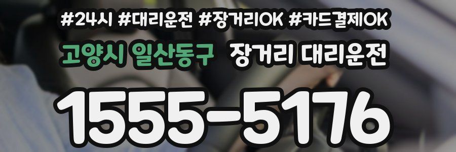 고양시 일산동구 장거리 대리운전