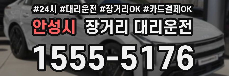 안성시 장거리 대리운전