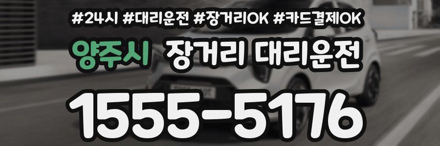양주시 장거리 대리운전