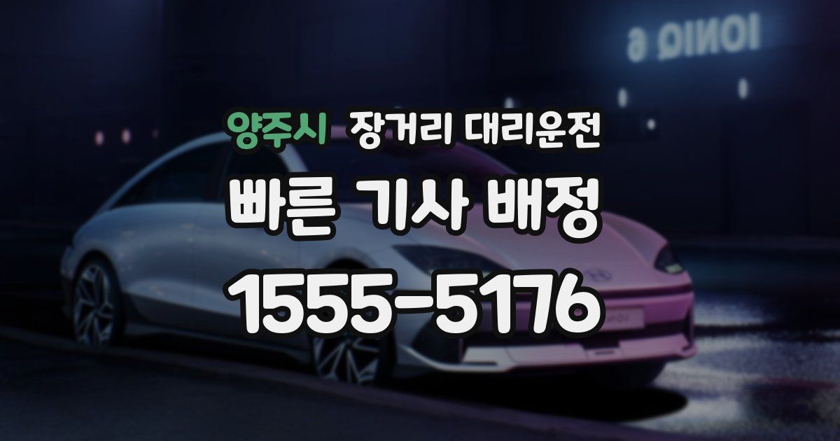 양주시 장거리 대리운전