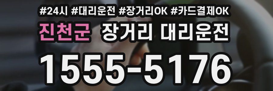 진천군 장거리 대리운전