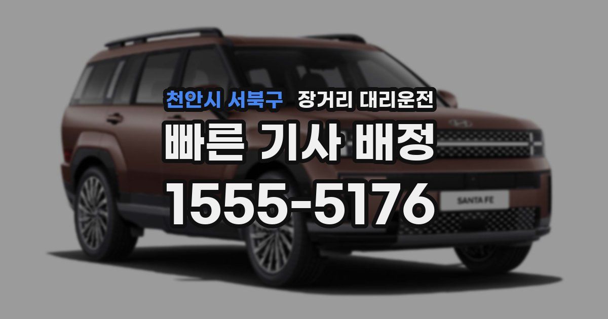 천안시 서북구 장거리 대리운전