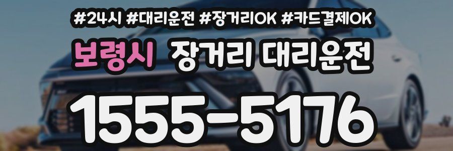 보령시 장거리 대리운전