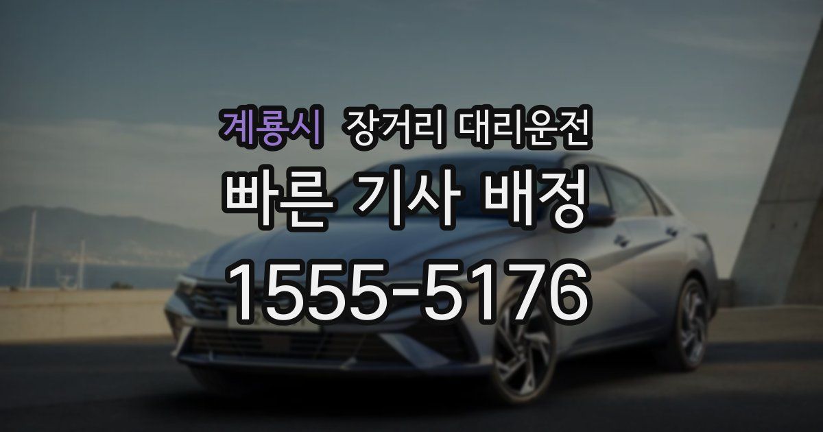계룡시 장거리 대리운전