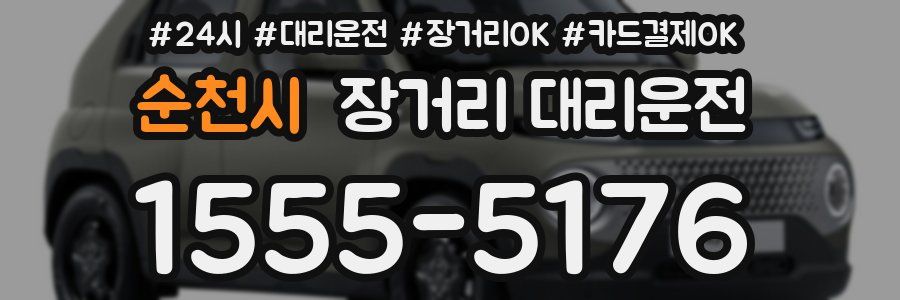 순천시 장거리 대리운전