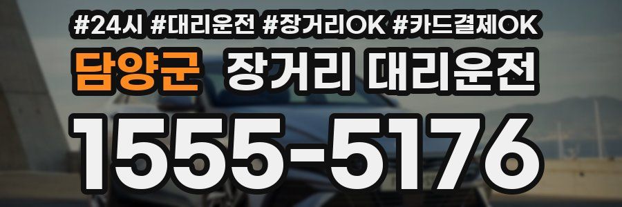 담양군 장거리 대리운전