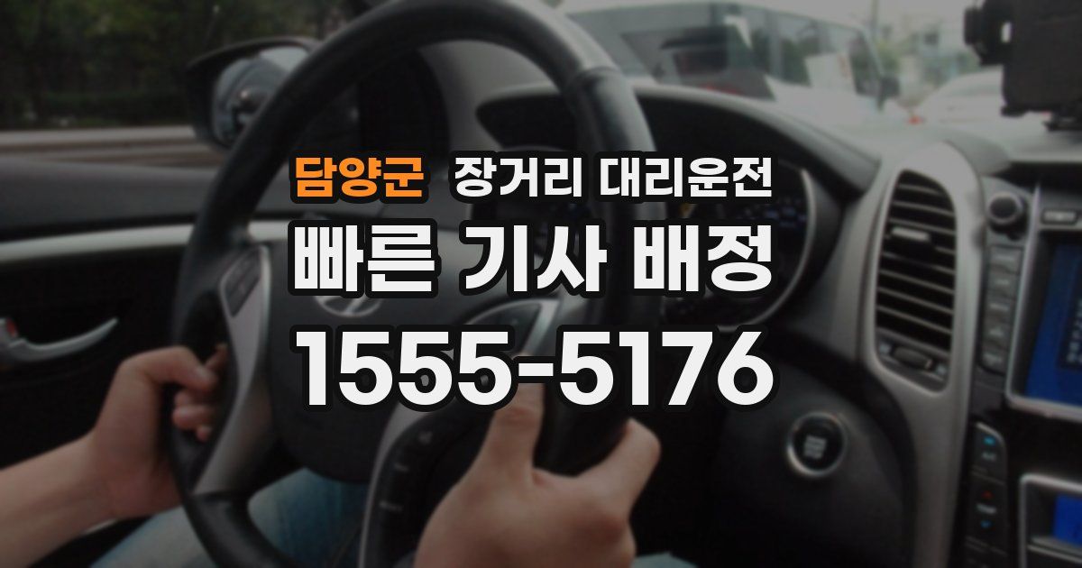 담양군 장거리 대리운전