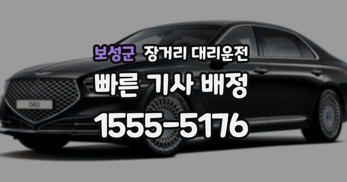 보성군 장거리 대리운전