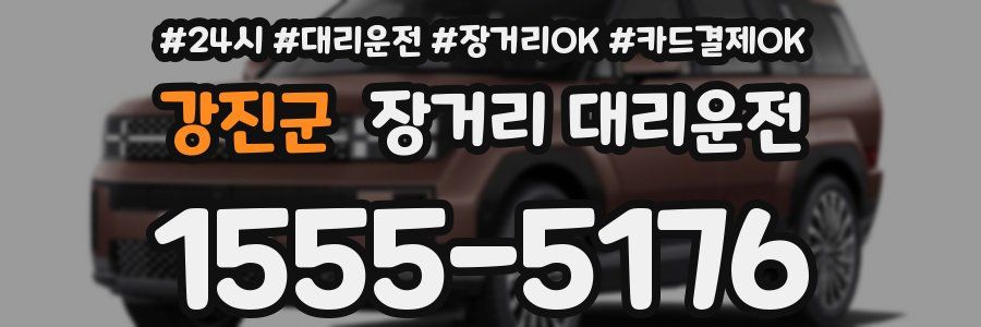 강진군 장거리 대리운전