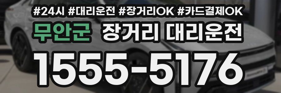 무안군 장거리 대리운전