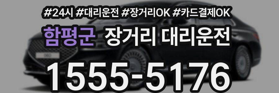 함평군 장거리 대리운전